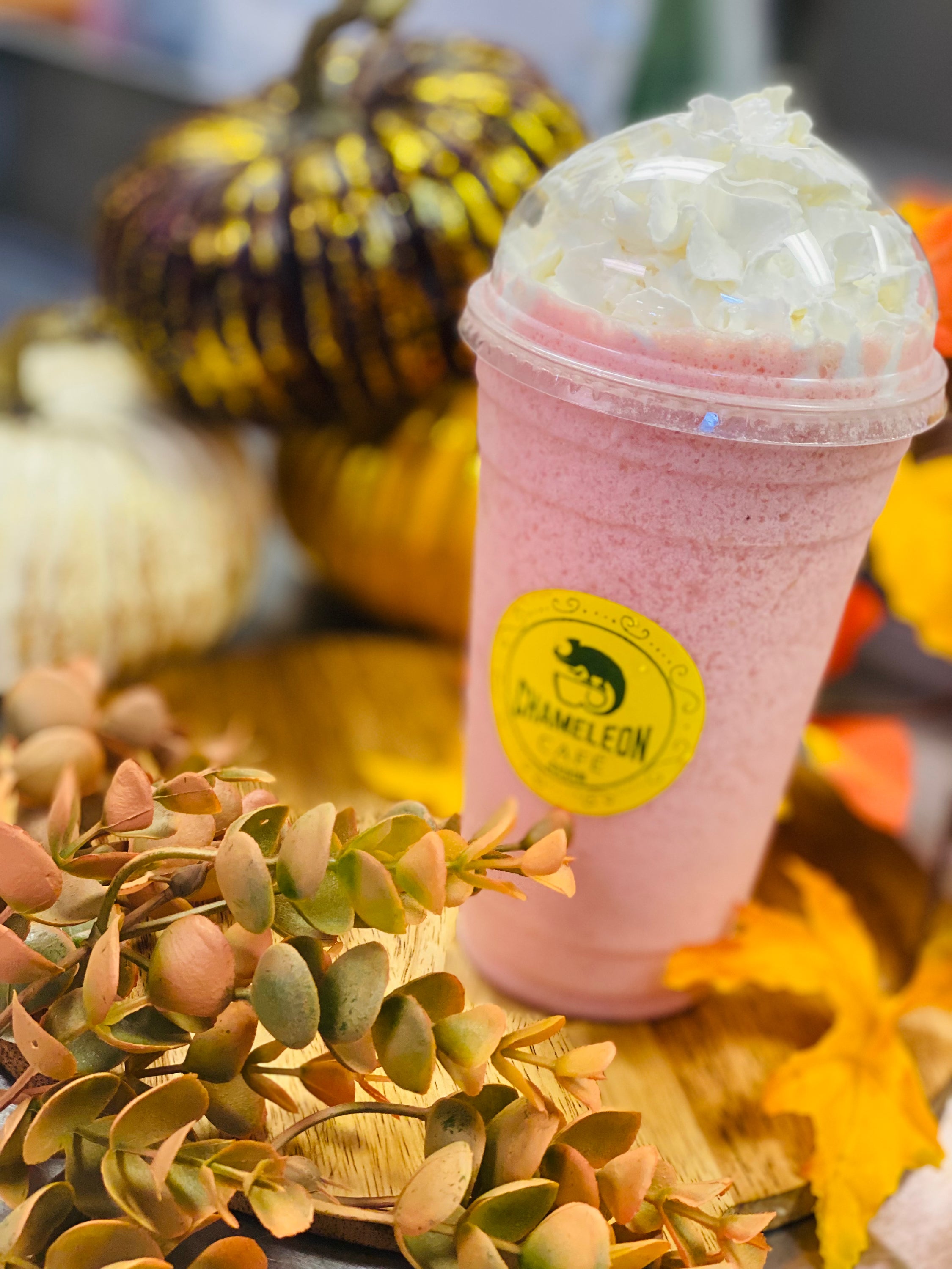 Fruit Smoothie Chameleon Cafe Akron fruit-smoothie-chameleon-cafe-akron