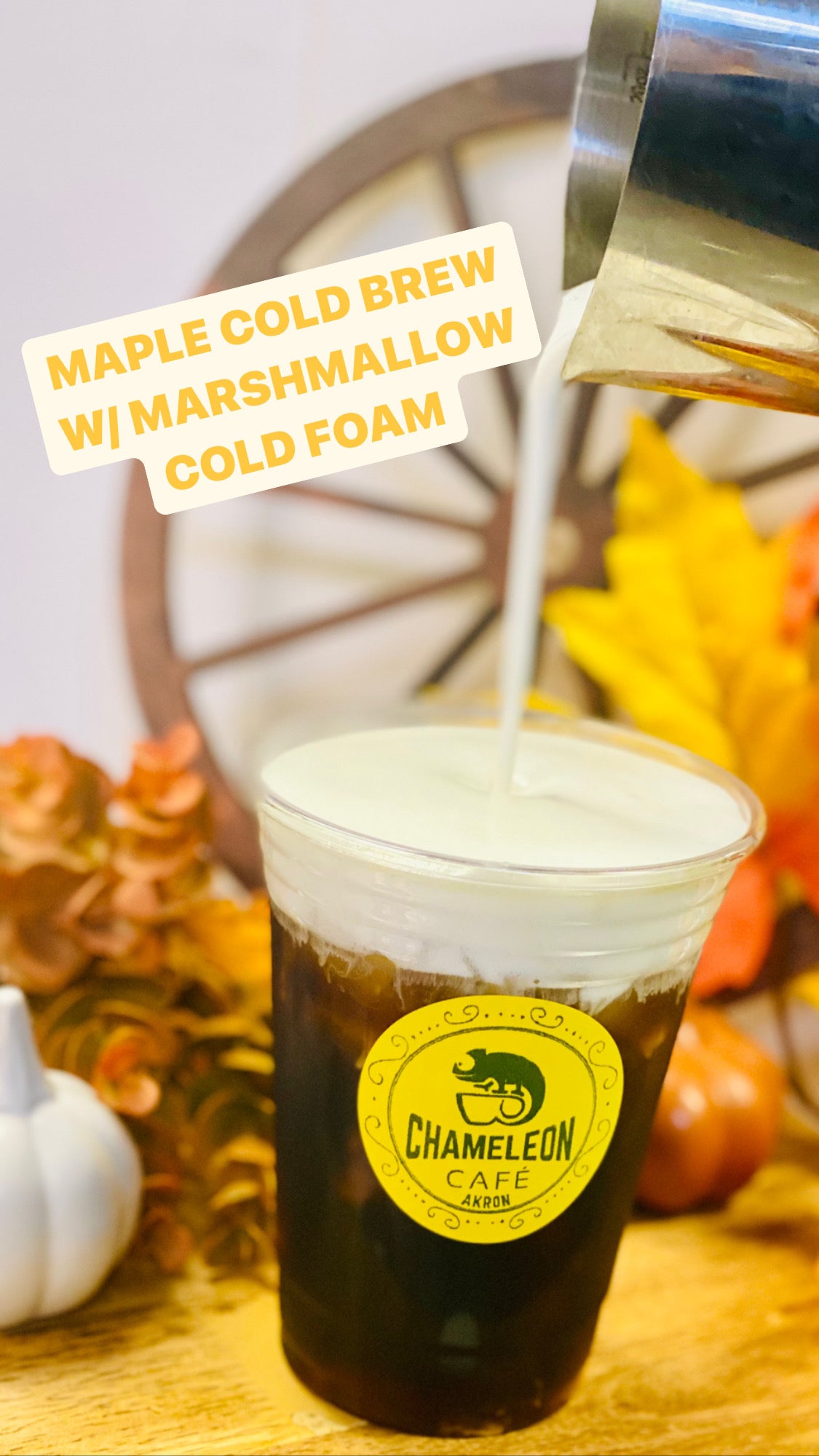 Maple Cold Brew w/ Marshmallow Cold Foam Chameleon Cafe Akron